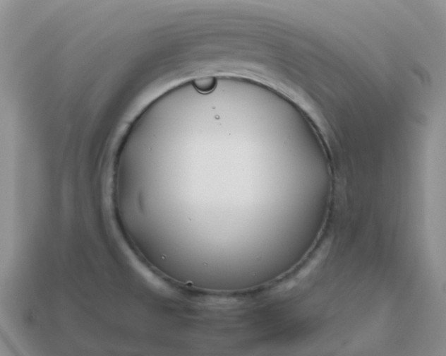 X0000113871525200910081716