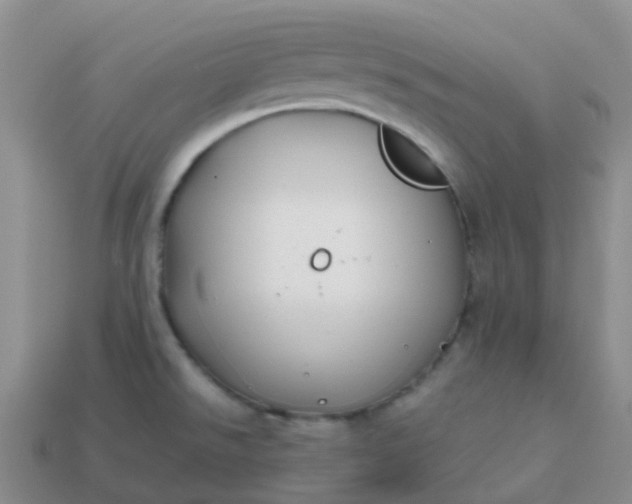 X0000113871526200910081716