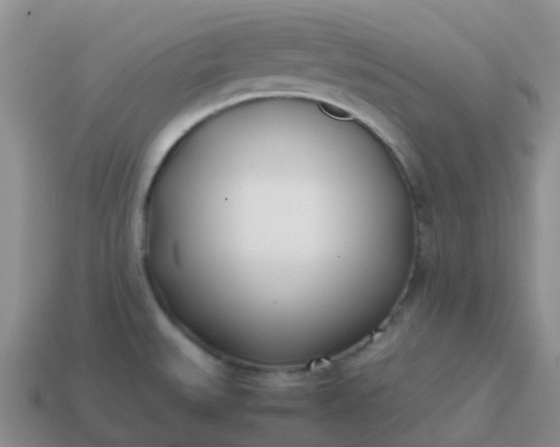 X0000113871527200910081716