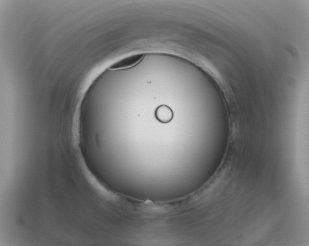 X0000113871528200910081716