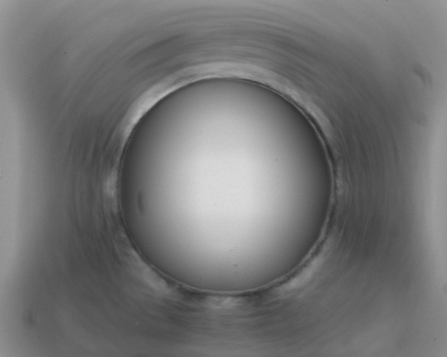 X0000113871529200910081716