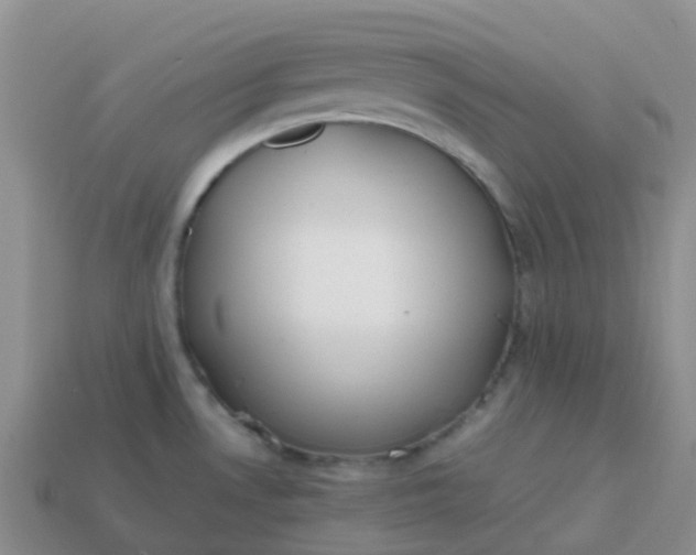 X0000113871530200910081716