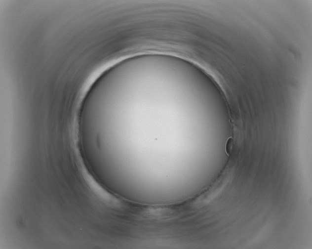 X0000113871531200910081716