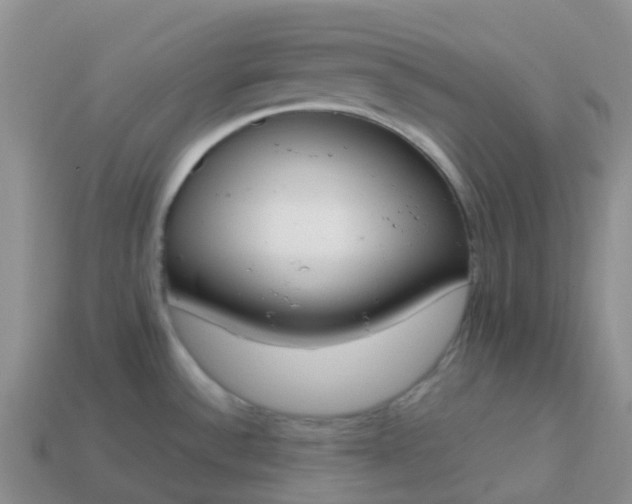 X0000113871532200910081716