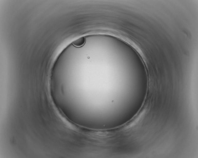 X0000113871533200910081716