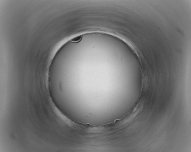 X0000113871535200910081716