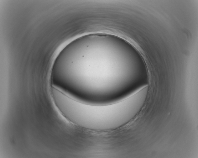 X0000113871536200910081716