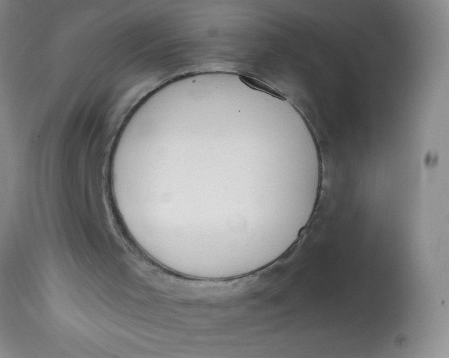 X0000113870001200910151313