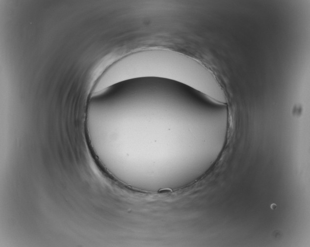 X0000113870003200910151313