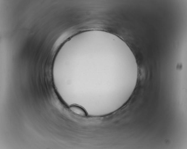 X0000113870004200910151313