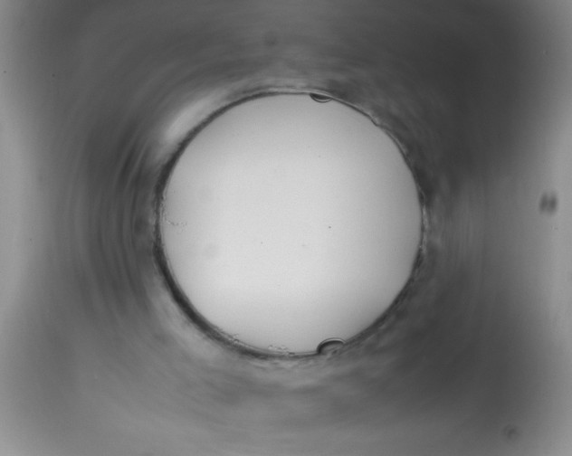 X0000113870005200910151313