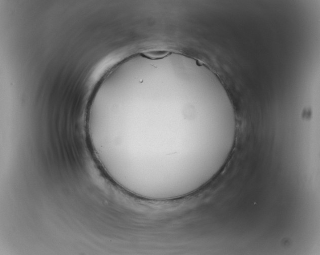 X0000113870006200910151313