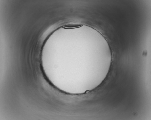 X0000113870007200910151313