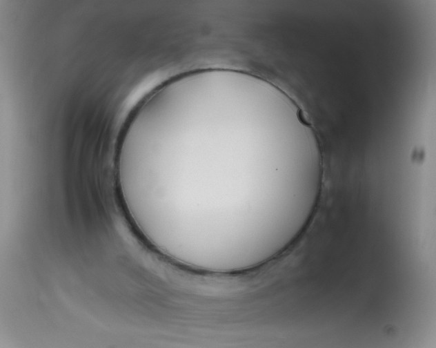 X0000113870008200910151313