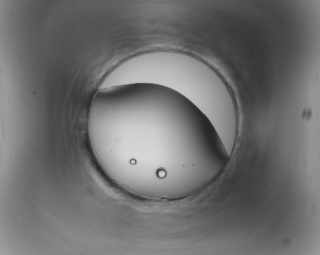 X0000113870009200910151313