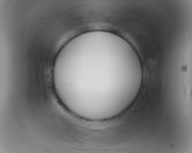 X0000113870010200910151313