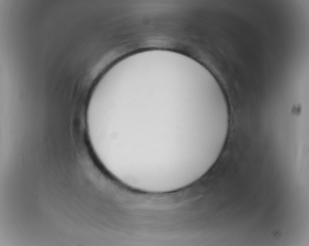 X0000113870011200910151313