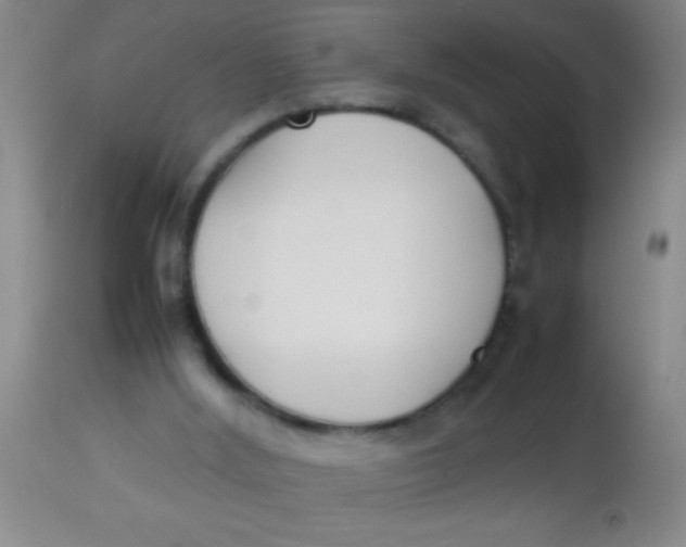 X0000113870012200910151313