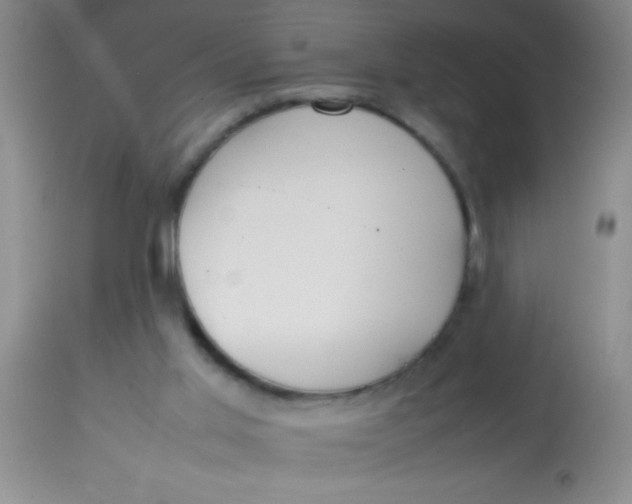 X0000113870013200910151313