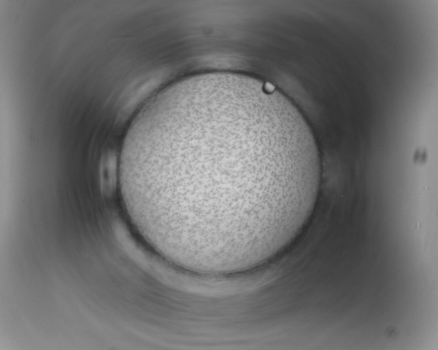 X0000113870014200910151313