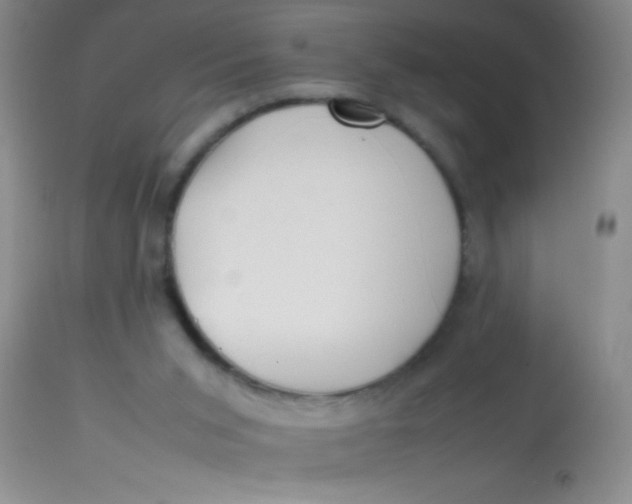 X0000113870015200910151313