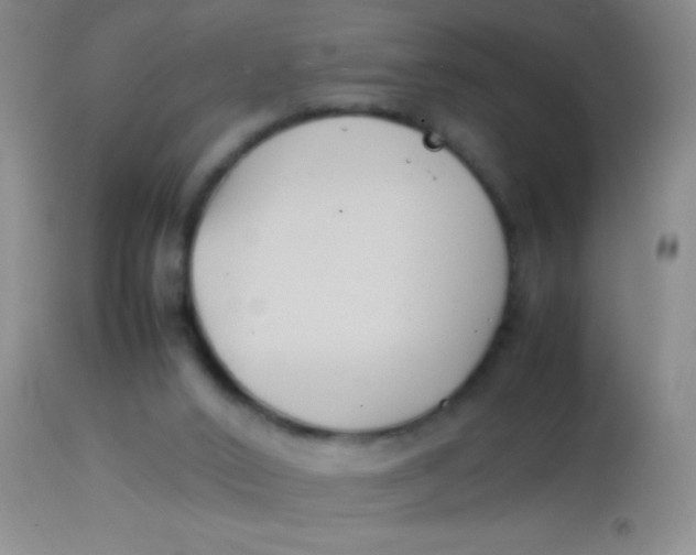 X0000113870016200910151312