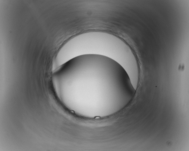 X0000113870017200910151312