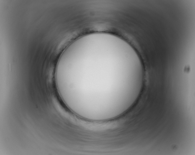 X0000113870018200910151312