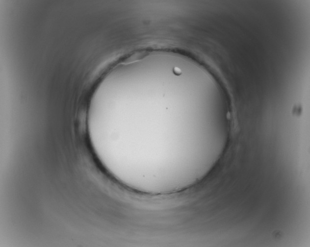 X0000113870019200910151312