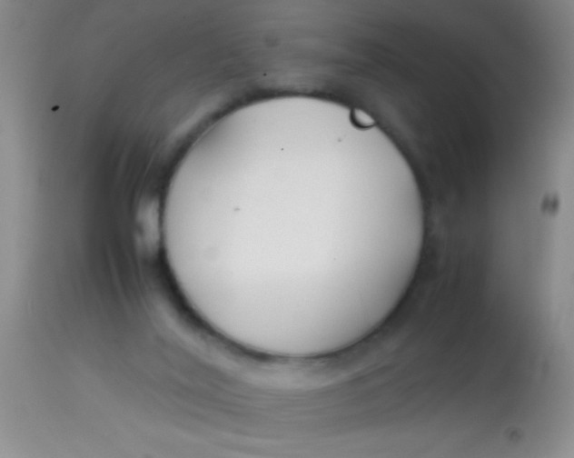 X0000113870020200910151312