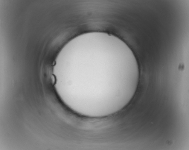 X0000113870021200910151312