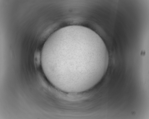 X0000113870022200910151312