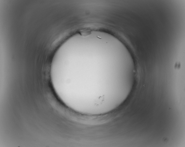 X0000113870023200910151312