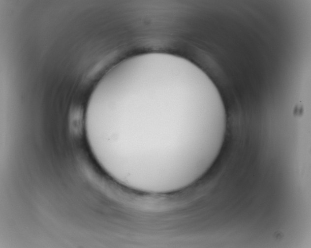 X0000113870024200910151312