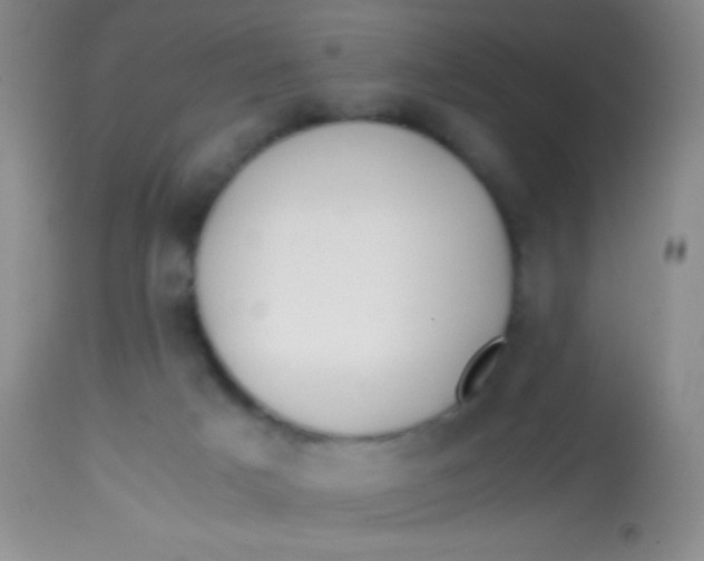 X0000113870025200910151312