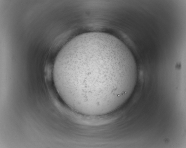 X0000113870026200910151312