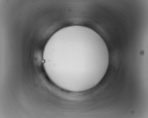 X0000113870028200910151312