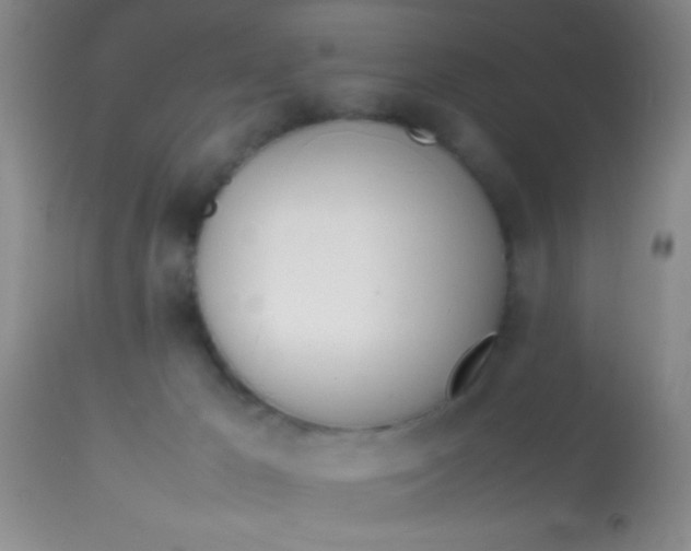 X0000113870029200910151312