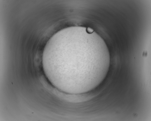 X0000113870030200910151312