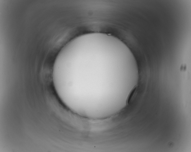 X0000113870031200910151312