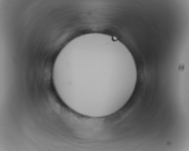 X0000113870032200910151312