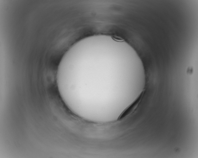 X0000113870033200910151312