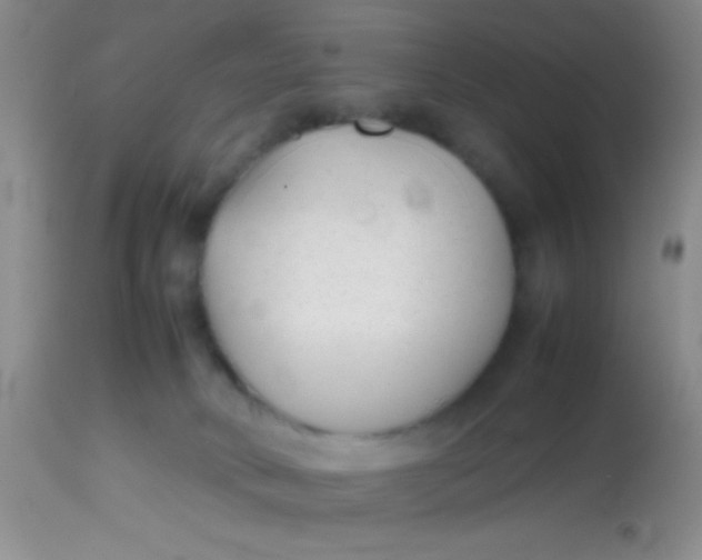 X0000113870034200910151312