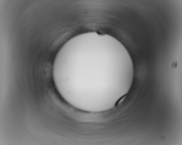 X0000113870036200910151312