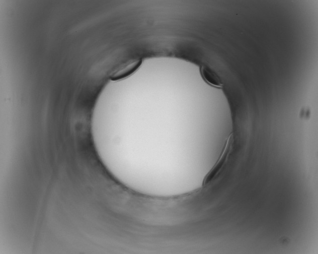 X0000113870037200910151312