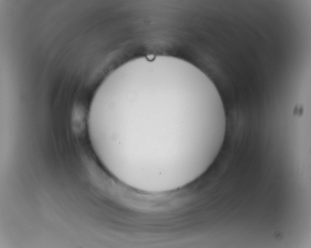 X0000113870038200910151312