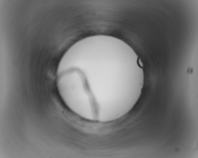 X0000113870040200910151312