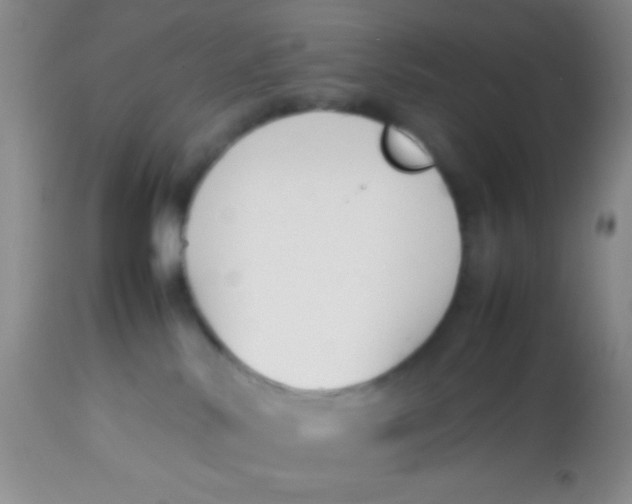 X0000113870042200910151312