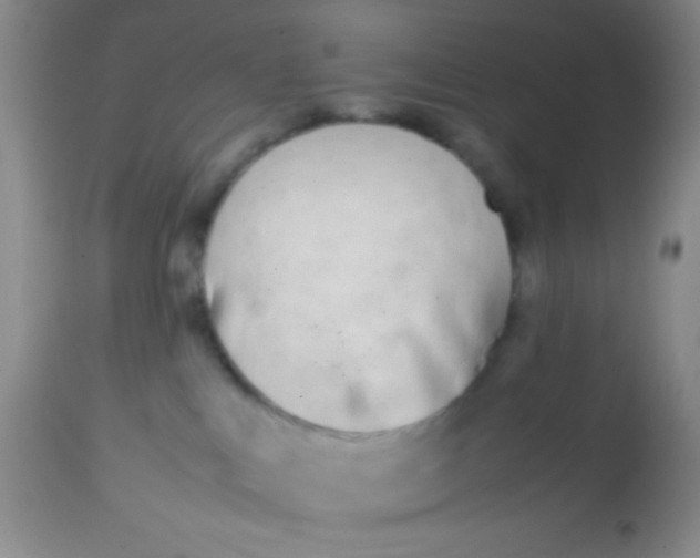 X0000113870043200910151312