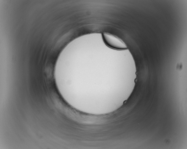 X0000113870044200910151312